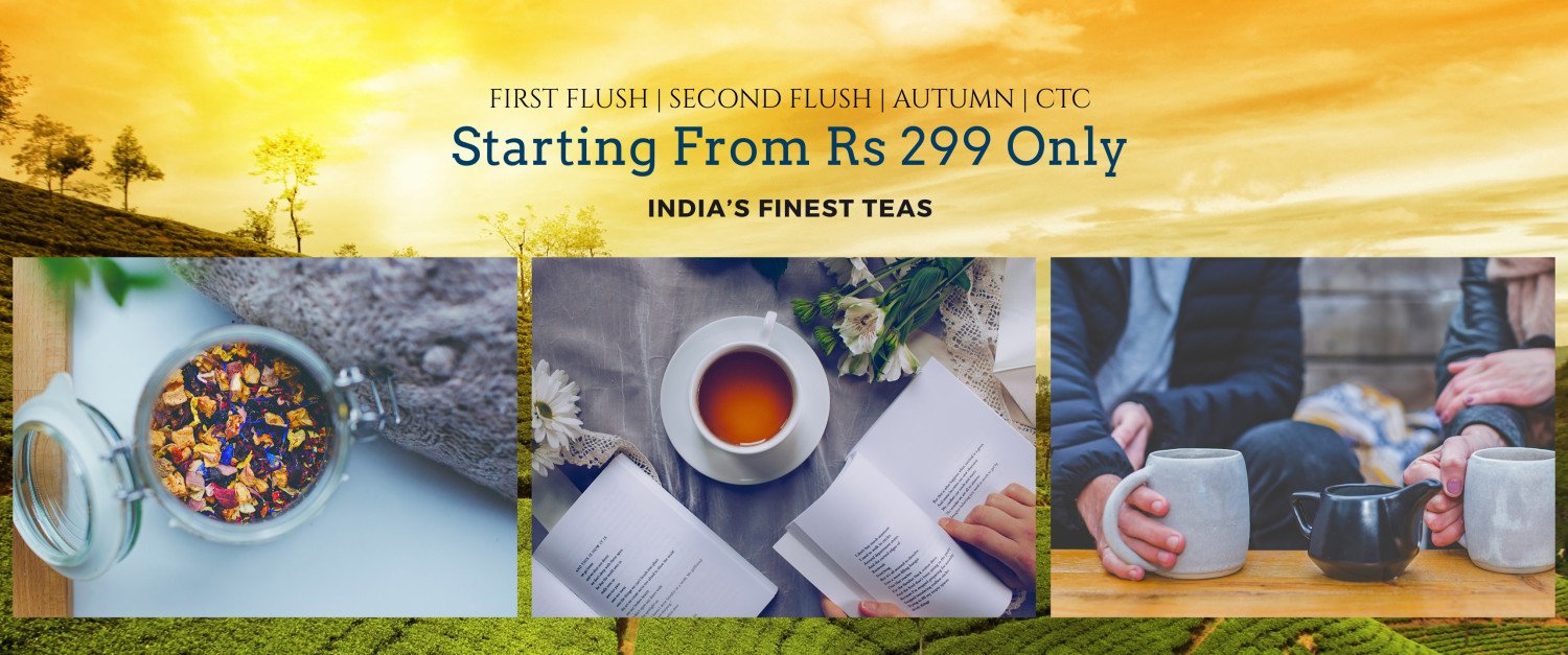 xlenttea promo