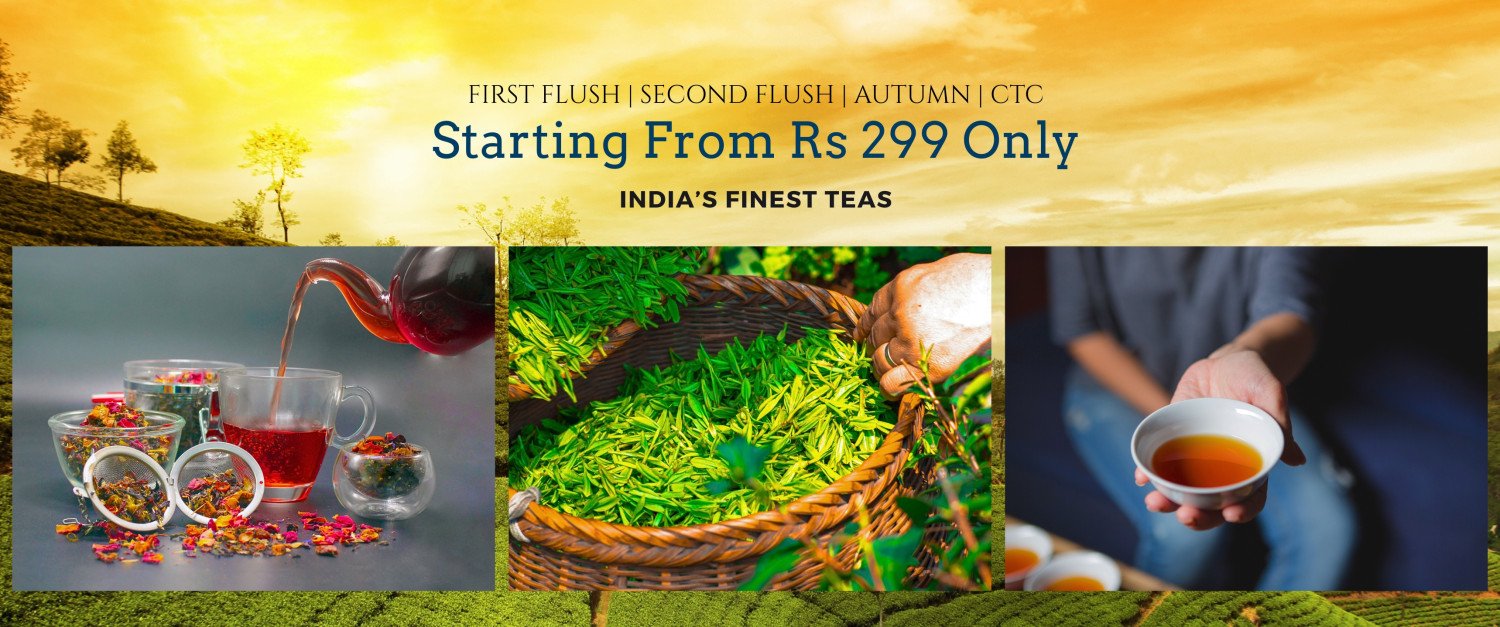 xlenttea promo