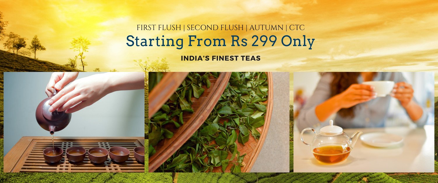 xlenttea promo