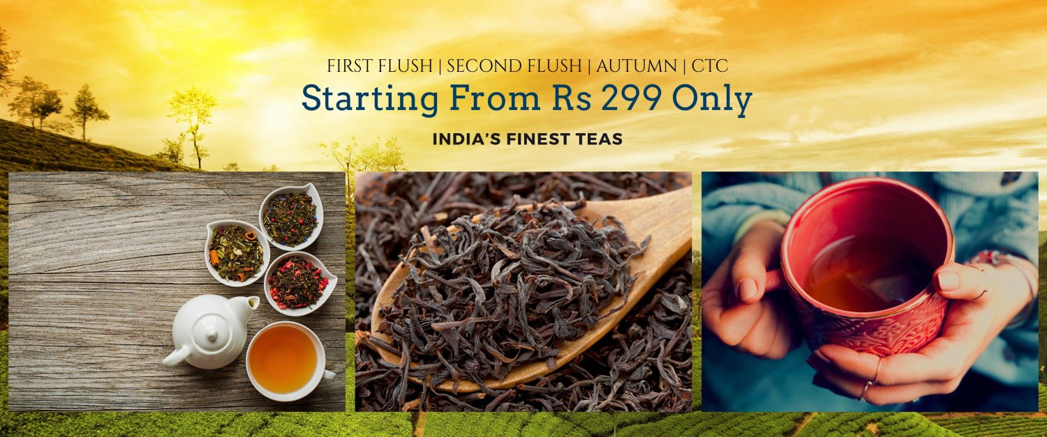 xlenttea promo